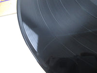 Load image into Gallery viewer, Steely Dan Can't Buy A Thrill MCA 1591 LP Vinyl
