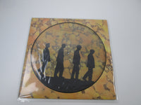 Load image into Gallery viewer, Echo &amp; The Bunnymen Songs to Learn and Sing Picture Disc 240767-1 LP Vinyl
