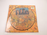 Load image into Gallery viewer, Echo &amp; The Bunnymen Songs to Learn and Sing Picture Disc 240767-1 LP Vinyl
