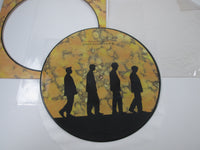 Load image into Gallery viewer, Echo &amp; The Bunnymen Songs to Learn and Sing Picture Disc 240767-1 LP Vinyl
