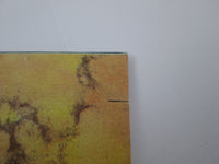 Load image into Gallery viewer, Echo &amp; The Bunnymen Songs to Learn and Sing Picture Disc 240767-1 LP Vinyl
