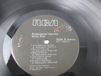 Load image into Gallery viewer, White Wolf Endangered Species LP Vinyl
