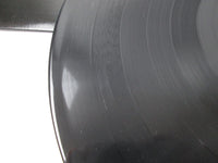 Load image into Gallery viewer, White Wolf Endangered Species LP Vinyl
