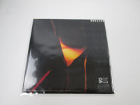 Load image into Gallery viewer, AKINA NAKAMORI FUSHIGI L-12595 with OBI Japan LP Vinyl
