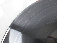 Load image into Gallery viewer, Neil Young Tonight's The Night Reprise Records P-8556R with OBI Japan LP Vinyl
