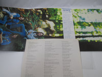 Load image into Gallery viewer, AMERICA HOMECOMING WARNER P-6419W with OBI Japan LP Vinyl
