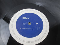 Load image into Gallery viewer, Korn Got The Life 666391-6 LP Vinyl
