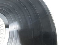 Load image into Gallery viewer, Eddie Higgins Trio ‎Haunted Heart Venus Records VHJD-184 with OBI Japan LP Vinyl
