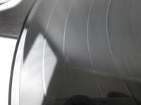 Load image into Gallery viewer, DEAD BOYS We Have Come For Your Children RVP-92805-00 LP Vinyl
