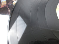 Load image into Gallery viewer, Kiss Love Gun NBLP-7057-V LP Vinyl
