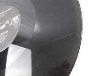 Load image into Gallery viewer, Janet Jackson ‎Nasty C12Y 3002 with OBI Japan LP Vinyl
