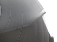 Load image into Gallery viewer, Peter Gabriel So PG-5 LP Vinyl
