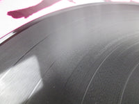 Load image into Gallery viewer, Frijid Pink DL 19 with OBI Japan LP Vinyl
