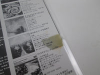 Load image into Gallery viewer, MOODY BLUES YOUR WILDEST DREAMS POLYDOR 13MM 7033 with OBI Japan LP Vinyl
