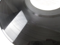 Load image into Gallery viewer, Phenomena PM1 LP Vinyl UK
