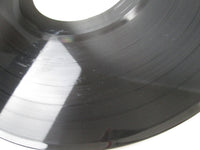 Load image into Gallery viewer, Phenomena PM1 LP Vinyl UK
