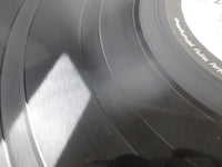 Load image into Gallery viewer, JOHN LENNON PLASTIC ONO BAND APPLE AP-80174 with OBI Japan LP Vinyl
