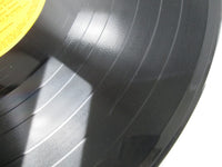 Load image into Gallery viewer, ELVIS PRESLEY PRESLEY GOLDEN HYMN RCA SRA-9147,8 with OBI Japan LP Vinyl
