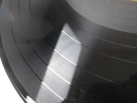 Load image into Gallery viewer, ELVIS PRESLEY PRESLEY GOLDEN HYMN RCA SRA-9147,8 with OBI Japan LP Vinyl
