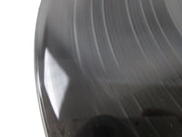 Load image into Gallery viewer, Soreyuke Donald Duck OST Japanese Ver Disney CZ-5024-DR with OBI Japan LP Vinyl
