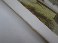 Load image into Gallery viewer, U2 October 204185-360 LP Vinyl
