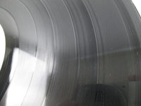 Load image into Gallery viewer, The Osmonds The Plan MGM Records MM 2059 with OBI Japan LP Vinyl
