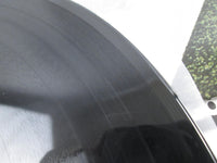 Load image into Gallery viewer, The Beatles ABBEY ROAD 9784813521631 180g DeAgostini Japan LP Vinyl
