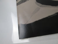 Load image into Gallery viewer, Jude Cole Promo P-13542 with OBI Japan LP Vinyl
