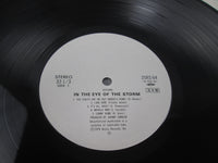 Load image into Gallery viewer, OUTLAWS IN THE EYE OF THE STORM Promo ARISTA 25RS-64 with OBI Japan LP Vinyl
