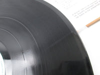 Load image into Gallery viewer, GATO BARBIERI UNDER FIRE FLYING DUTCHMAN SR-3160 with OBI Japan LP Vinyl
