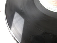 Load image into Gallery viewer, GATO BARBIERI UNDER FIRE FLYING DUTCHMAN SR-3160 with OBI Japan LP Vinyl
