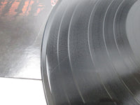 Load image into Gallery viewer, Elvis Presley From Elvis in Memphis SHP-6061 with OBI Japan LP Vinyl
