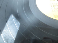 Load image into Gallery viewer, Elvis Presley From Elvis in Memphis SHP-6061 with OBI Japan LP Vinyl
