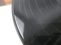 Load image into Gallery viewer, ELVIS PRESLEY FUN IN ACAPULCO VICTOR RA-5300 with OBI Japan LP Vinyl
