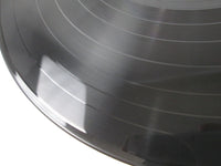 Load image into Gallery viewer, ELVIS PRESLEY FUN IN ACAPULCO VICTOR RA-5300 with OBI Japan LP Vinyl
