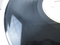 Load image into Gallery viewer, Demon Breakout CLAYLP 23 LP Vinyl
