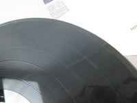 Load image into Gallery viewer, Demon Breakout CLAYLP 23 LP Vinyl
