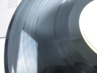 Load image into Gallery viewer, Demon Breakout CLAYLP 23 LP Vinyl
