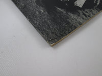 Load image into Gallery viewer, ALLMAN BROTHERS BAND AT FILLMORE EAST ATLANTIC P-5016,7A with OBI Japan LP Vinyl
