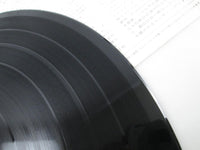 Load image into Gallery viewer, ROY BUCHANAN DANCING ON THE EDGE 28MM 0509 with OBI Japan LP Vinyl
