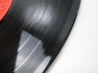 Load image into Gallery viewer, ROY BUCHANAN DANCING ON THE EDGE 28MM 0509 with OBI Japan LP Vinyl
