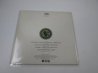 Load image into Gallery viewer, The Brand New Heavies Brother Sister 828490-1 Japan LP Vinyl
