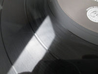 Load image into Gallery viewer, The Brand New Heavies Brother Sister 828490-1 Japan LP Vinyl
