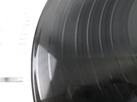 Load image into Gallery viewer, SAM TAYLOR Enka CAL-5006 with OBI Japan LP Vinyl
