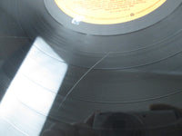 Load image into Gallery viewer, Sugar Ray Floored 83006-1 LP Vinyl Hype
