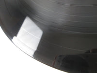 Load image into Gallery viewer, Sugar Ray Floored 83006-1 LP Vinyl Hype
