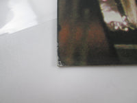 Load image into Gallery viewer, Hotlegs ‎You Didn't Like It Because Promo RJ-7562 with OBI Japan LP Vinyl
