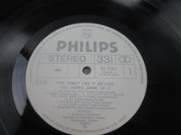 Load image into Gallery viewer, Hotlegs ‎You Didn't Like It Because Promo RJ-7562 with OBI Japan LP Vinyl
