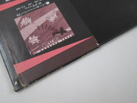 Load image into Gallery viewer, NINA HAGEN BAND SAME EPIC 25 3P-161 with OBI Japan LP Vinyl
