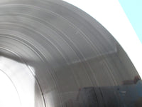 Load image into Gallery viewer, TERRY FUNK TEXAS BRONCO VAP 30110-28 with OBI Japan LP Vinyl
